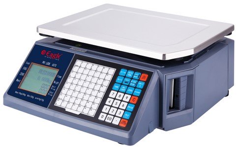 Eagle Rear Type Barcode Label Printing Weighing Scale, T30-EBR-Rear, 30 Kg, Blue/Silver