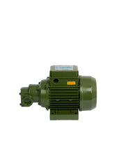 SAER CF 1HP0.75KW Self-Priming Gear Pump