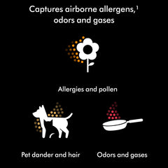 Dyson HushJet™ Purifier Compact, Quiet air purifier, App controlled, purifies up to 203 sq ft, Captures NO2 (Black/Teal)