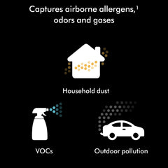 Dyson HushJet™ Purifier Compact, Quiet air purifier, App controlled, purifies up to 203 sq ft, Captures NO2 (Black/Teal)