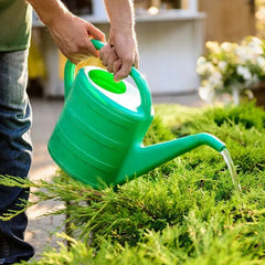 Home Garden Repair & Maintenance Service Package by KT Fix