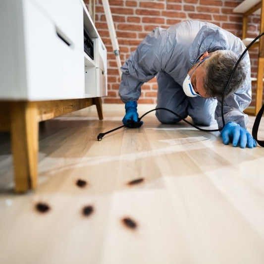 Pest Control Service Package by KT Fix