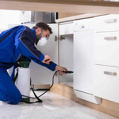 Pest Control Service Package by KT Fix