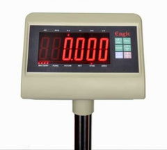 Eagle Floor Weighing Scale, PLT10M-T7, T7 Series, IP64, 1000 Kg Weight Capacity